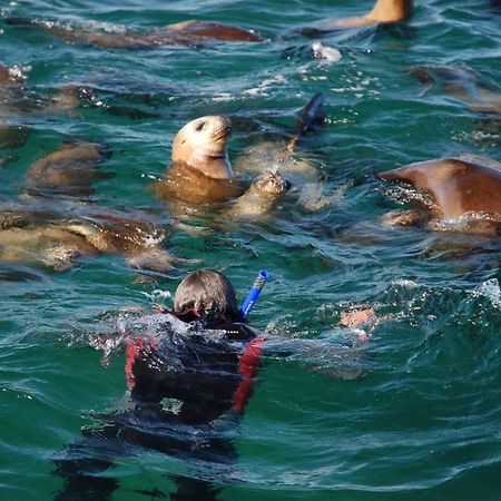 Del Nomade Hosteria Ecologica Puerto Pirámides Kültér fotó